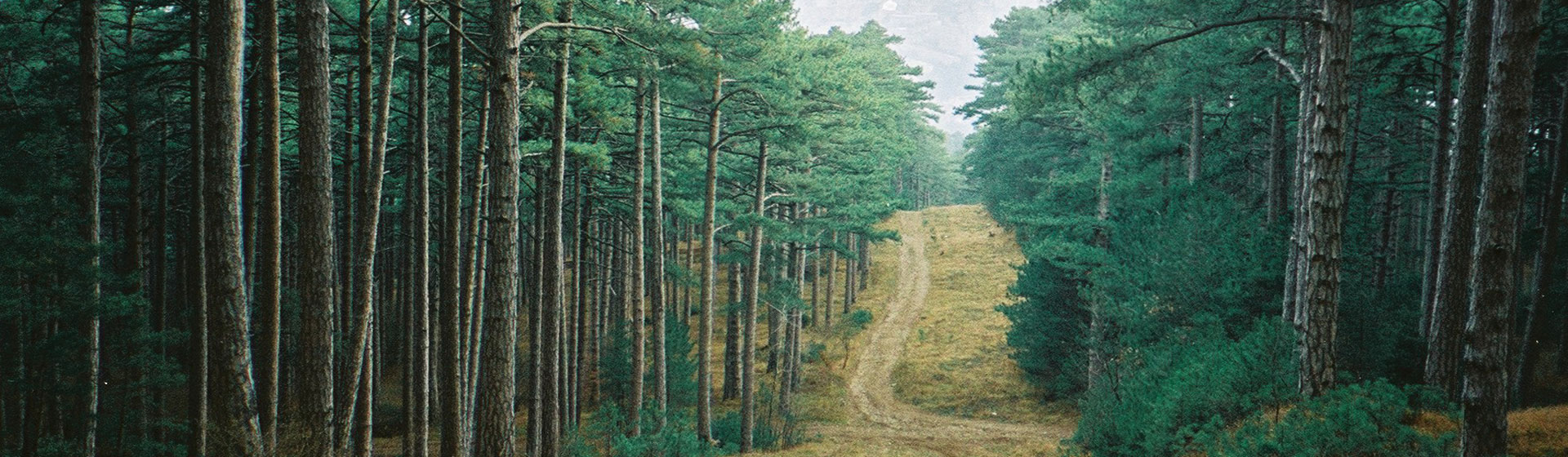 shutterstock_67128502