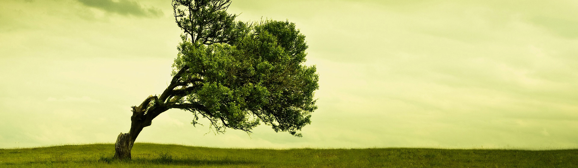 shutterstock_67128502